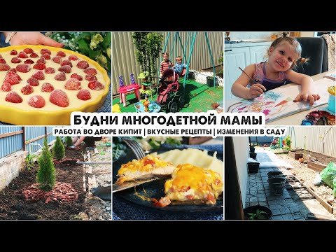 Видео: Мужчины работают🚧Пирог с клубникой | Творожно-сырный завтрак | Отбивные под "шубкой" | Дела в саду