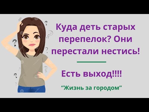 Видео: Как быстро и качественно потрошить старых перепелок?