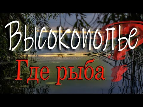 Видео: Высокополье Где рыба ? Ловил везде