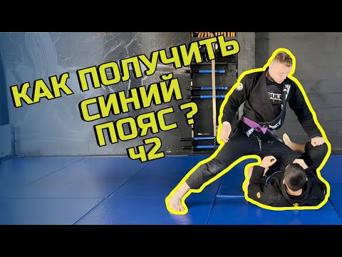 Видео: Как Стать Синим Поясом в BJJ: Ошибки и Секреты ПРО – Часть 2 🥋🔥