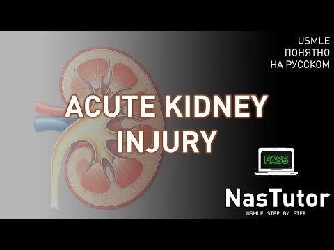 Видео: Острое повреждение почек (AKI): типы, патогенез, анализы | USMLE Step 1 и 2 на русском