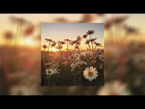 Видео: Платина feat. Feduk - Ламбо speed up