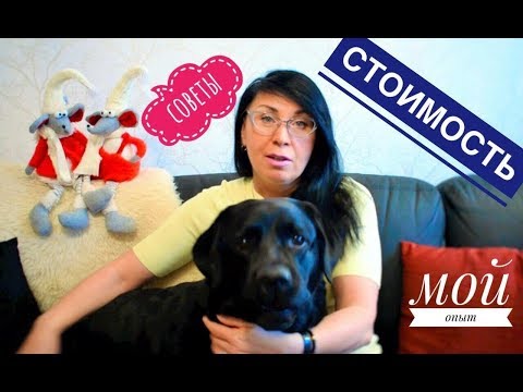 Видео: Водительские Права в Финляндии / Как я получала Права в финской Автошколе / Полезные советы