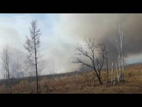 Видео: Путешествуем. Экс-гарнизон Переяславка-2,  Киинские писаницы.