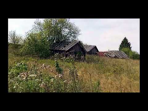 Видео: К истоку речки Алгашка  Часть 1