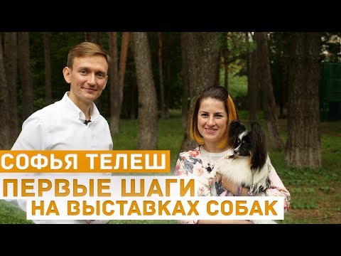 Видео: Первые шаги на выставках собак: об эмоциях, отношении к выставкам, занятиях - хендлер Софья Телеш