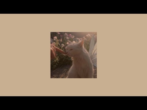 Видео: клава кока - заново (speed up)