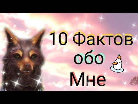 Видео: 10 фактов обо мне😘//~Wild Fox~