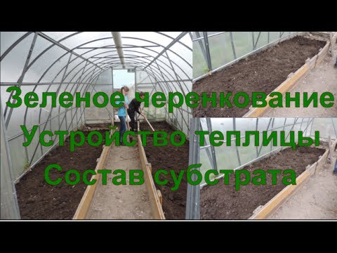 Видео: Зеленое черенкование. Состав субстрата для укоренения, устройство теплицы