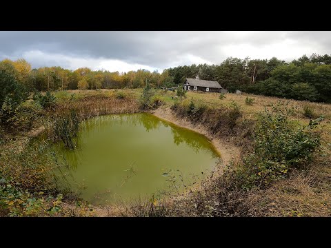 Видео: Философия жизни. Если устал, собирай грибы!