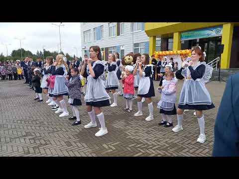 Видео: 7 сентября 2025 г.