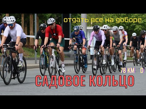 Видео: Велогонка Садовое кольцо 2025 кластер D 78км 5 кругов. НОВИЧОК В ГОНКЕ. Отдал все на доборе.