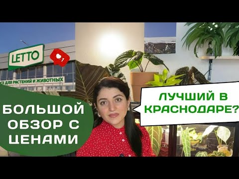 Видео: Лучший садовый центр? Большой обзор ЛЕТТО с ценами