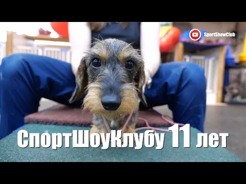 Видео: СпортШоуКлуб спустя 11 лет