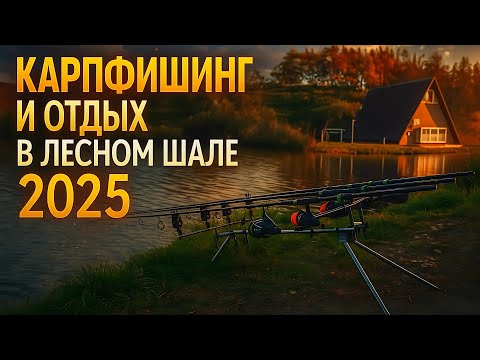 Видео: КАРПФИШИНГ И ОТДЫХ В ЛЕСНОМ ШАЛЕ 2025