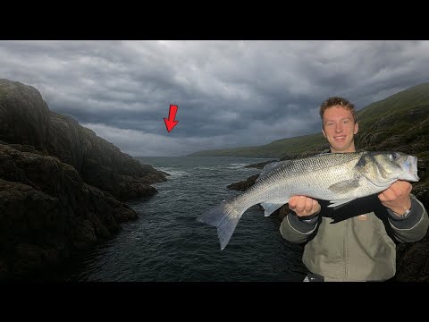 Видео: СЕКРЕТ ловли окуня... (ПРЕКРАТИТЕ ЭТО делать!!)