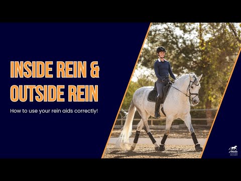 Видео: Перестаньте злоупотреблять внутренним поводом — вот что нужно делать вместо этого