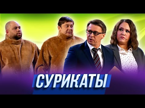 Видео: Сурикаты — Уральские Пельмени | Эффект папочки