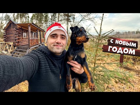Видео: Новый Год! В лесном лагере! Поставил жерлицы Утка с вешенкой на углях