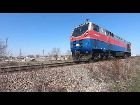 Видео: Байсерке #Байсерке