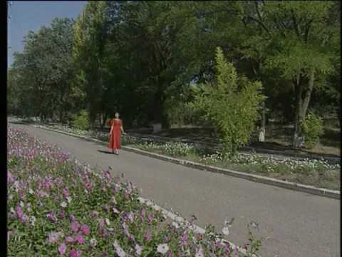 Видео: Эльстә балһсна туск дун