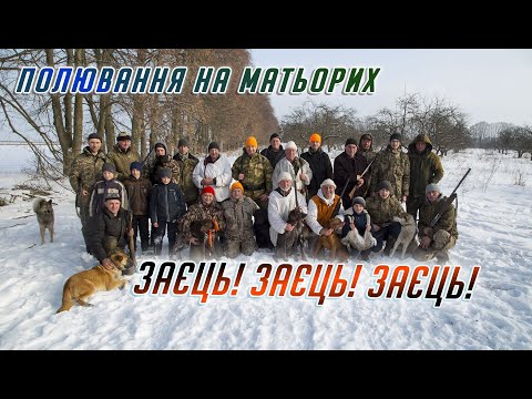 Видео: ПОЛЮВАННЯ НА МАТЬОРИХ ЗАЙЦІВ РІВНЕНЩИНА