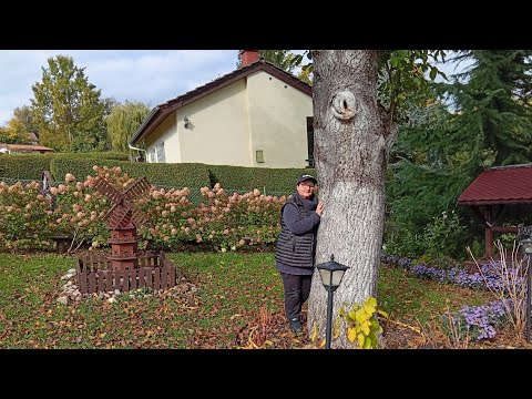 Видео: РУЛЬКА В ПИВЕ 😋🔥ОРЕХИ 🥜🌰ПРЕКРАСНЫЙ ОСЕННИЙ ДЕНЬ 🍂🍁🍂🍁🍂