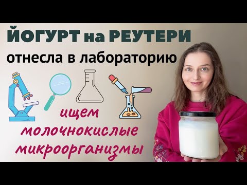 Видео: Сколько молочнокислых микроорганизмов в йогурте на реутери ? Результаты лабораторных испытаний.