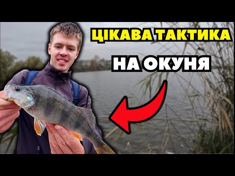 Видео: ЯК НАЛОВИТИ ОКУНЯ В ПІЗНЮ ПОРУ? Або як я закрив осінній сезон 2024