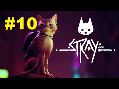 Видео: Stray | Прохождение игры | Глава №10: Мидтаун | Без комментариев