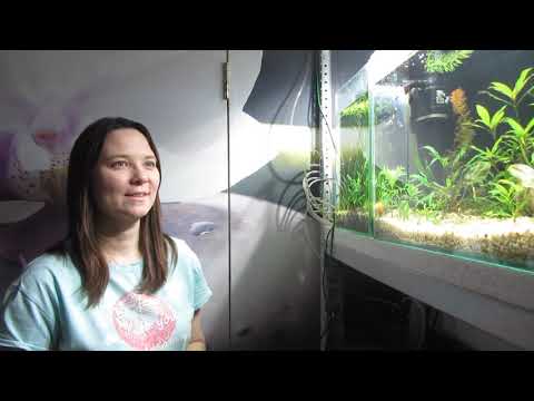Видео: Мои ошибки при запуске проблемного аквариума