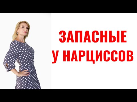 Видео: Типы "запасных" у нарциссов