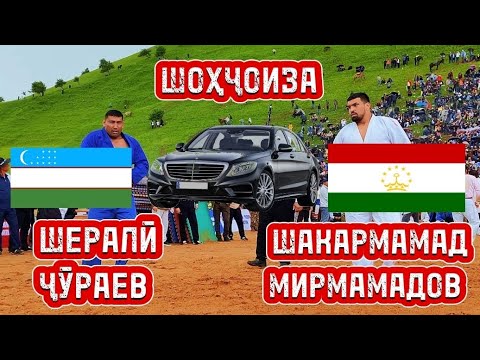 Видео: Сел дар гӯштин. Рақобати Шакармамад бо Шералӣ Ҷӯраев дар Ховалинг!