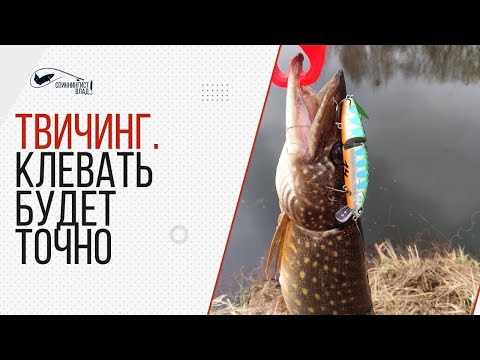 Видео: Твичинг. Как начать ловить. Проводка воблера для новичка.