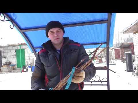 Видео: Виноград.Подготовка черенков винограда к укоренению. Часть 1.