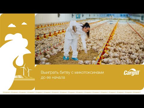 Видео: Выиграть битву с микотоксинами до ее начала
