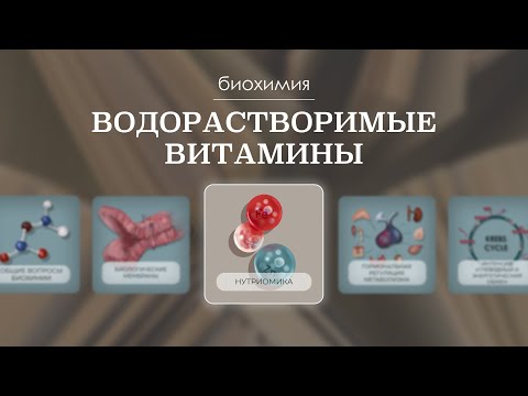 Видео: Водорастворимые витамины | Биохимия