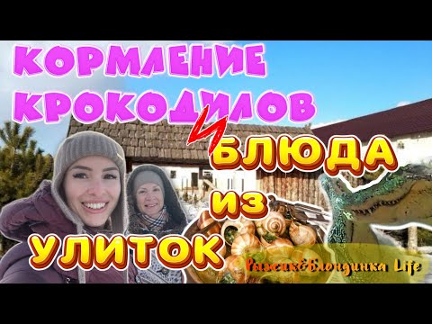 Видео: ЭКЗОТИКА в Подмосковье❓ЭКОДЕРЕВУШКА в КОЛОМНЕ с потрясающей атмосферой и НЕОБЫЧНОЙ едой🤗🤩