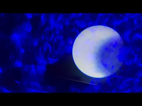 Видео: Интересные факты о воде (асмр липкий шепот)