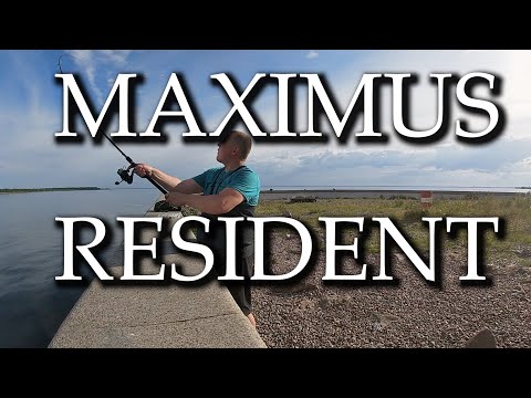 Видео: НОВЫЙ СПИННИНГ MAXIMUS RESIDENT 2023