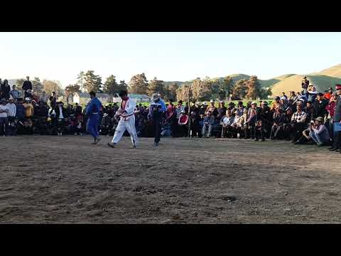 Видео: Гуштини Саричашма- шоҳҷоиза мошин