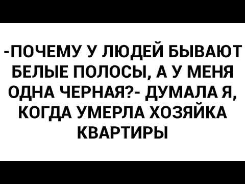 Видео: -Почему у людей бывают белые полосы, а у меня одна черная?- думала я, когда умерла хозяйка квартиры