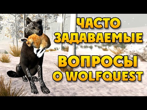 Видео: ОТВЕТЫ НА ВОПРОСЫ | WolfQuest