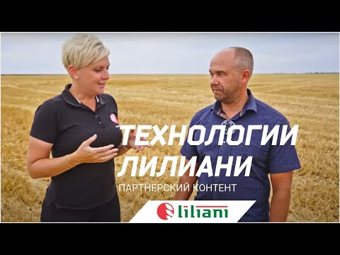 Видео: Низкие цены на зерно? Как снизить себестоимость пшеницы |   Хранение зерна | Уборка урожая 2023