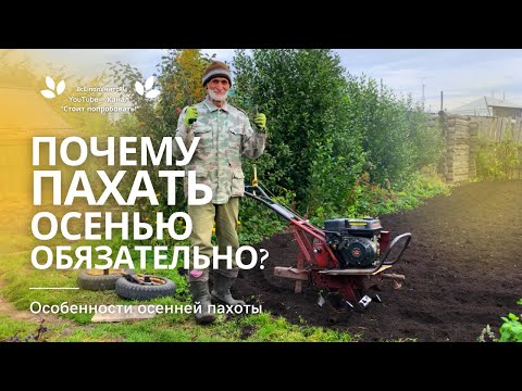 Видео: Вспашка мотоблоком | Подготовка земли осенью | Пахота | Огород | Культивация | Вспашка земли