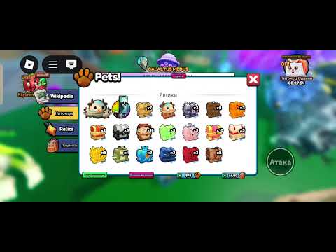 Видео: 11 ноября 2025 г.