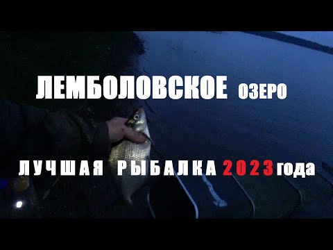 Видео: ЛУЧШАЯ РЫБАЛКА НА ЛЕМБОЛОВСКОМ ОЗЕРЕ. Рыбалка на фидер. Ловля леща на фидер. Ночная рыбалка на фидер