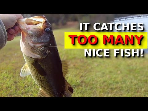 Видео: Этот трюк со СВИМБЕЙТОМ должен быть ЗАПРЕЩЕН!!!!!!