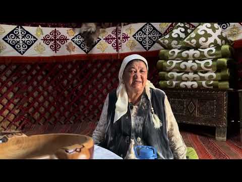 Видео: Шоңай Ғалым Алшынұлының киіз үйі туралы Бәйбіше Оңайхан Сатқанбайқызы