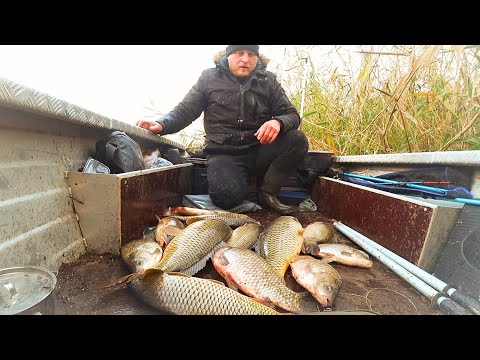 Видео: ВОТ ЭТО РЫБАЛКА! ПОЛНАЯ ЛОДКА ОГРОМНЫХ КАРАСЕЙ, САЗАНОВ. Рыбалка на сазана и огромного карася.